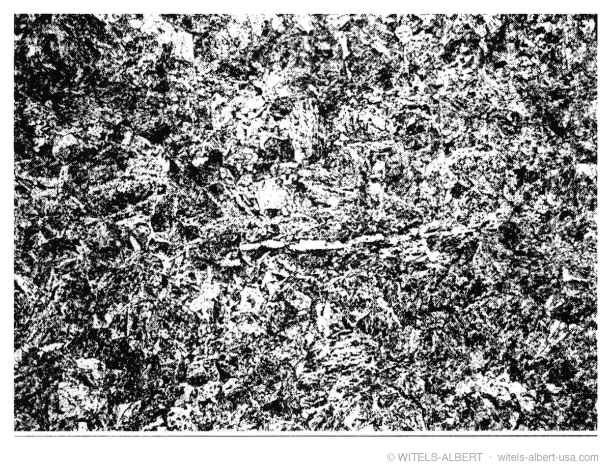 Micrograph showing the microstructure of a steel wire.
