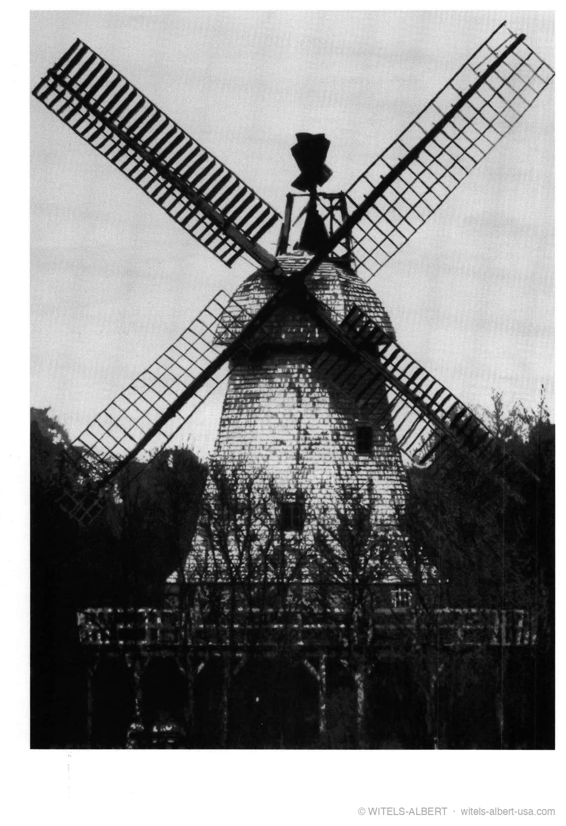 Photograph of a traditional windmill with four latticed sails, seen from the ground among bare trees.